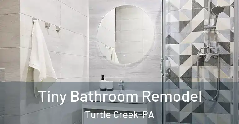 inner Bathroom imggen Tiny Bathroom Remodel Turtle Creek-PA