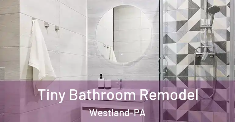 inner Bathroom imggen Tiny Bathroom Remodel Westland-PA