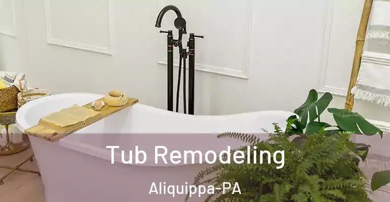 inner Bathroom imggen Tub Remodeling Aliquippa-PA