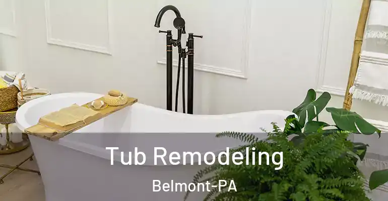 inner Bathroom imggen Tub Remodeling Belmont-PA