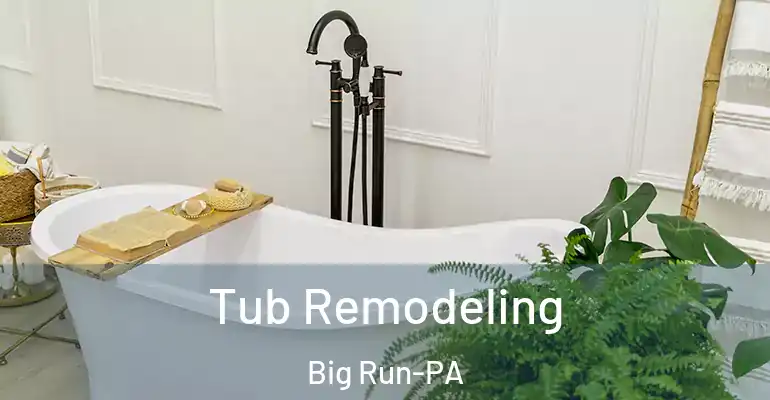 inner Bathroom imggen Tub Remodeling Big Run-PA