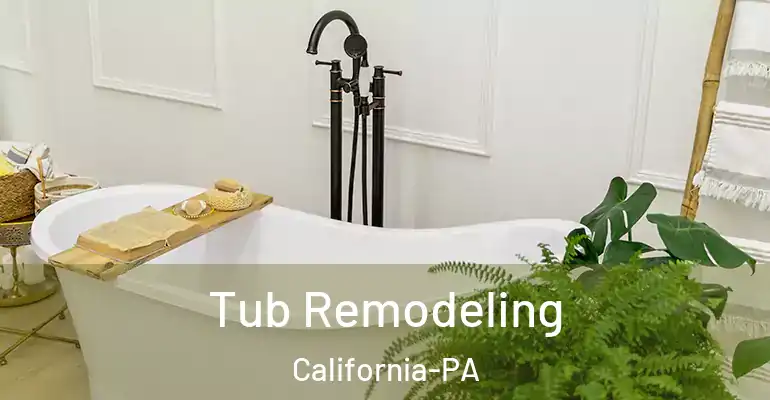 inner Bathroom imggen Tub Remodeling California-PA