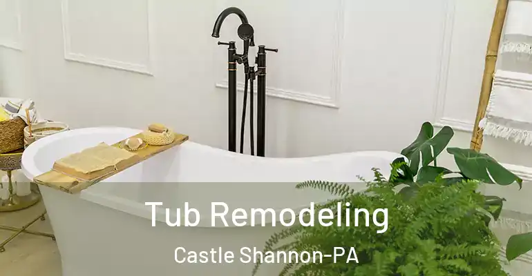 inner Bathroom imggen Tub Remodeling Castle Shannon-PA
