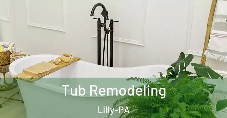 inner Bathroom imggen Tub Remodeling Lilly-PA