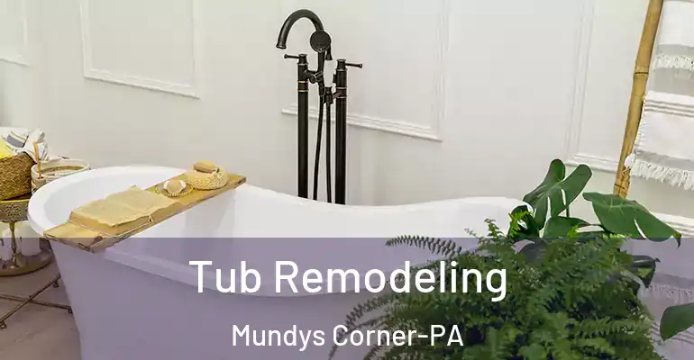 inner Bathroom imggen Tub Remodeling Mundys Corner-PA