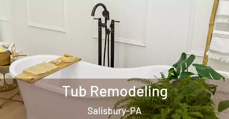 inner Bathroom imggen Tub Remodeling Salisbury-PA