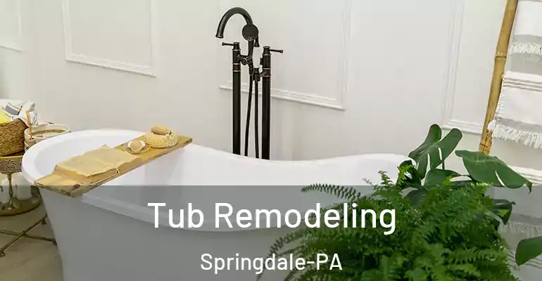 inner Bathroom imggen Tub Remodeling Springdale-PA