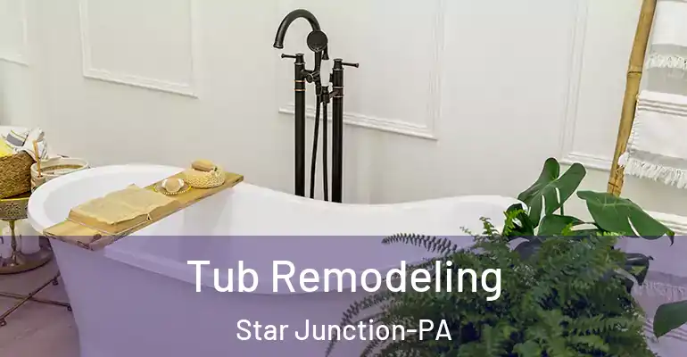 inner Bathroom imggen Tub Remodeling Star Junction-PA