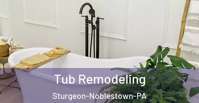 inner Bathroom imggen Tub Remodeling Sturgeon-Noblestown-PA