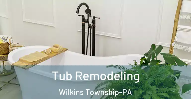 inner Bathroom imggen Tub Remodeling Wilkins Township-PA