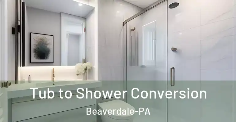 inner Bathroom imggen Tub to Shower Conversion Beaverdale-PA