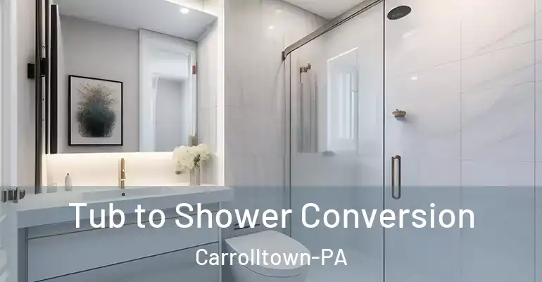 inner Bathroom imggen Tub to Shower Conversion Carrolltown-PA