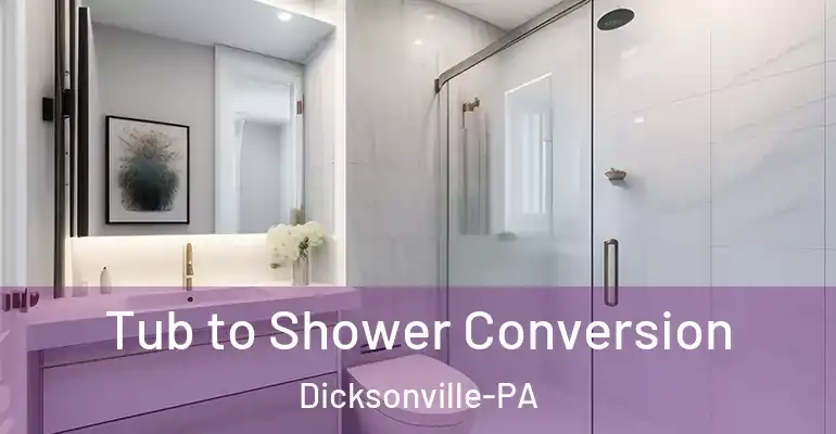 inner Bathroom imggen Tub to Shower Conversion Dicksonville-PA