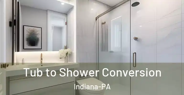 inner Bathroom imggen Tub to Shower Conversion Indiana-PA