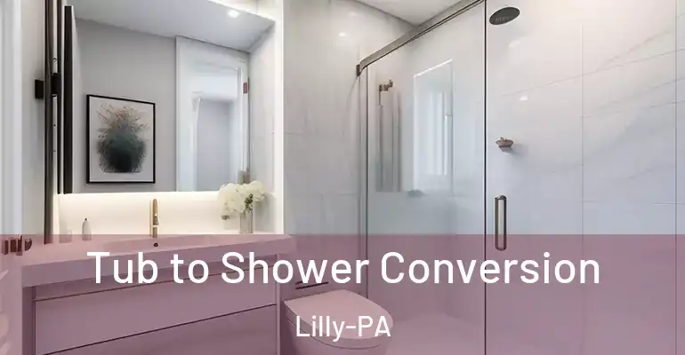 inner Bathroom imggen Tub to Shower Conversion Lilly-PA