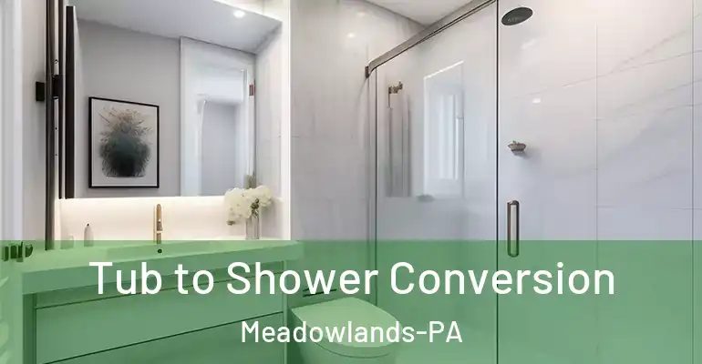 inner Bathroom imggen Tub to Shower Conversion Meadowlands-PA