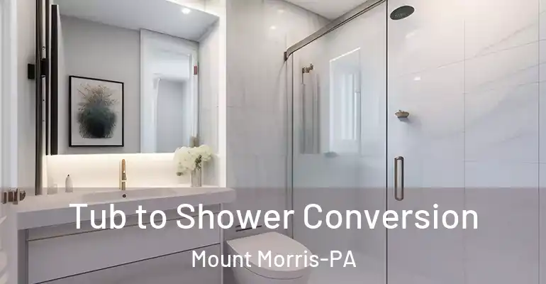 inner Bathroom imggen Tub to Shower Conversion Mount Morris-PA