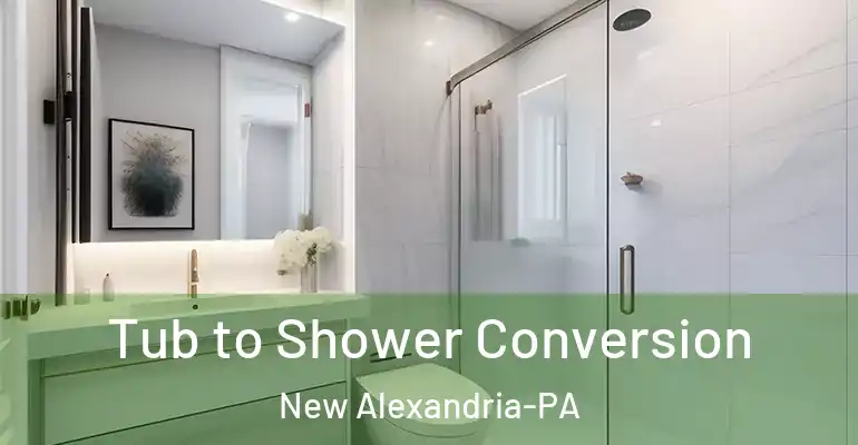 inner Bathroom imggen Tub to Shower Conversion New Alexandria-PA