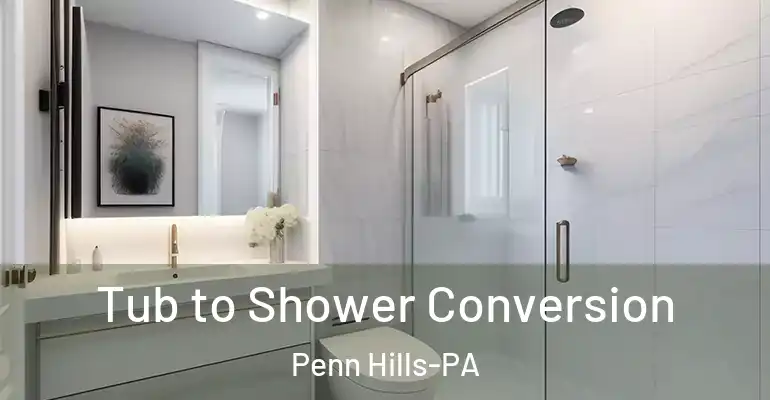 inner Bathroom imggen Tub to Shower Conversion Penn Hills-PA