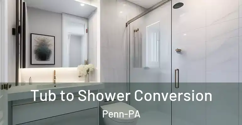 inner Bathroom imggen Tub to Shower Conversion Penn-PA