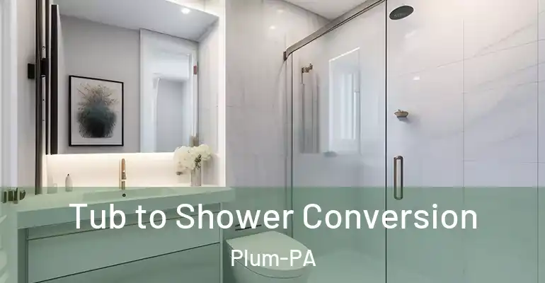 inner Bathroom imggen Tub to Shower Conversion Plum-PA