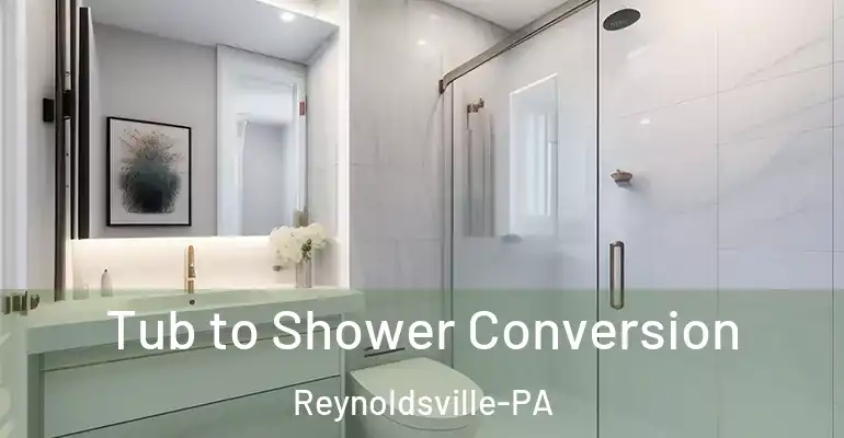 inner Bathroom imggen Tub to Shower Conversion Reynoldsville-PA
