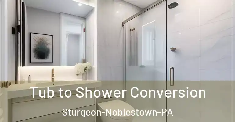 inner Bathroom imggen Tub to Shower Conversion Sturgeon-Noblestown-PA