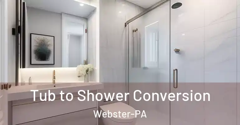 inner Bathroom imggen Tub to Shower Conversion Webster-PA