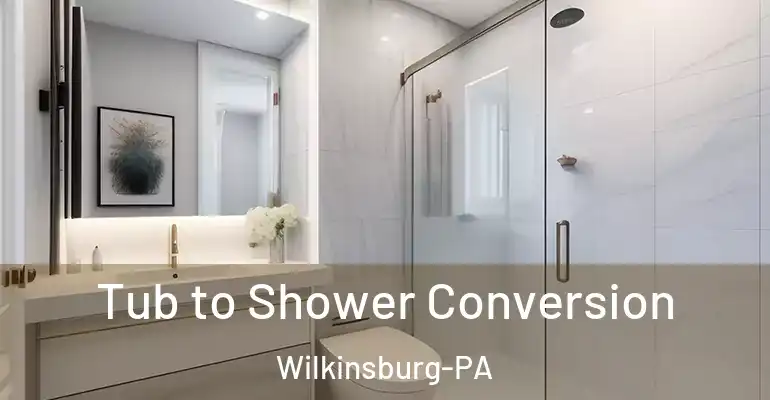 inner Bathroom imggen Tub to Shower Conversion Wilkinsburg-PA