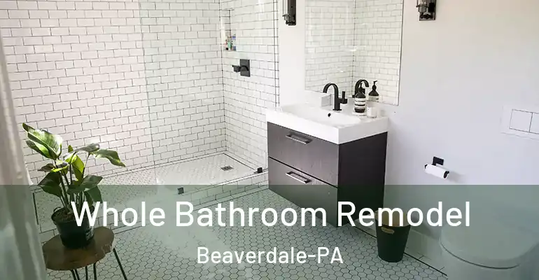 inner Bathroom imggen Whole Bathroom Remodel Beaverdale-PA