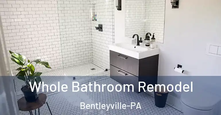 inner Bathroom imggen Whole Bathroom Remodel Bentleyville-PA