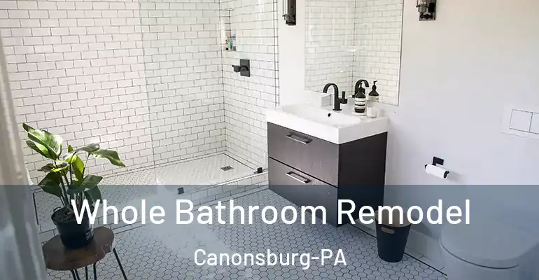 inner Bathroom imggen Whole Bathroom Remodel Canonsburg-PA