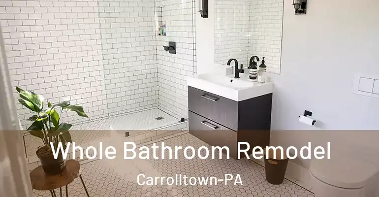inner Bathroom imggen Whole Bathroom Remodel Carrolltown-PA