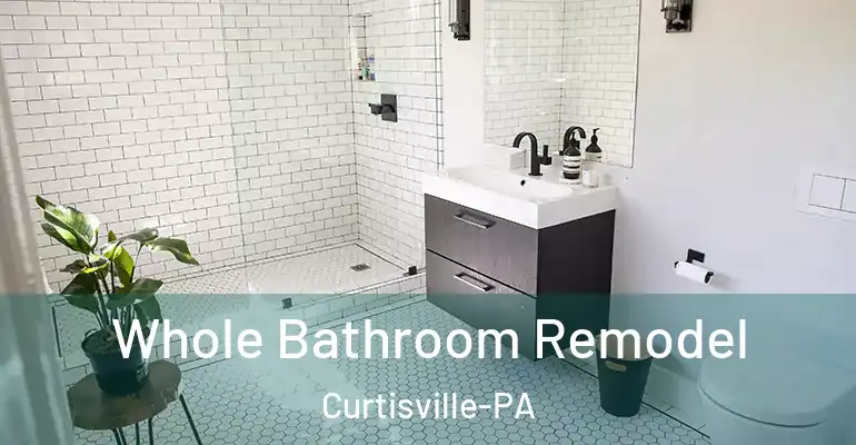 inner Bathroom imggen Whole Bathroom Remodel Curtisville-PA