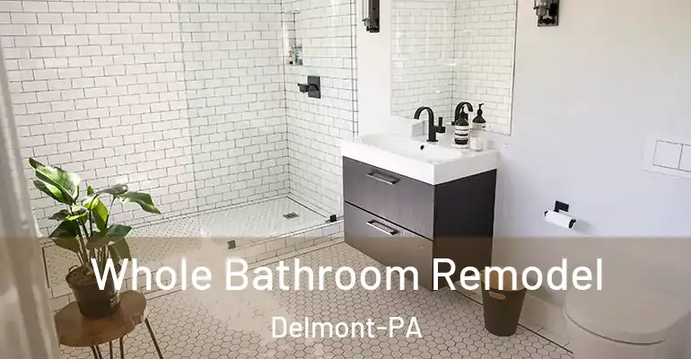 inner Bathroom imggen Whole Bathroom Remodel Delmont-PA