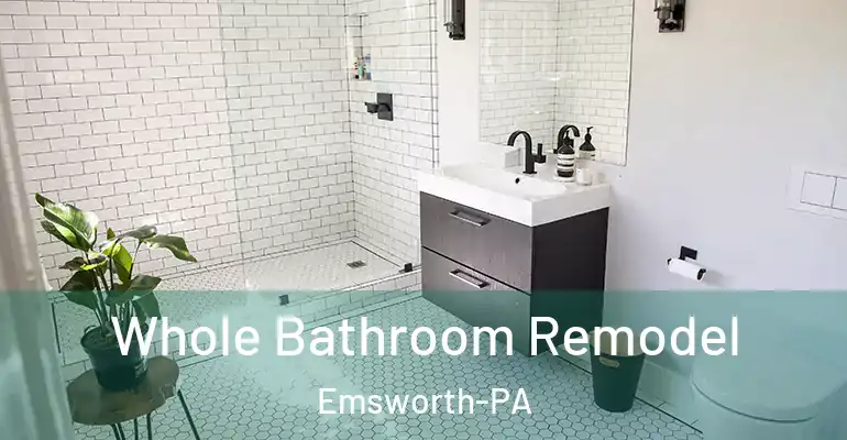 inner Bathroom imggen Whole Bathroom Remodel Emsworth-PA