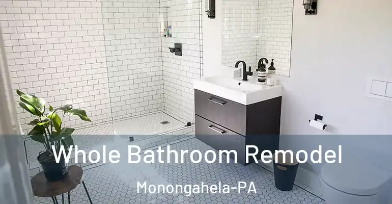 inner Bathroom imggen Whole Bathroom Remodel Monongahela-PA