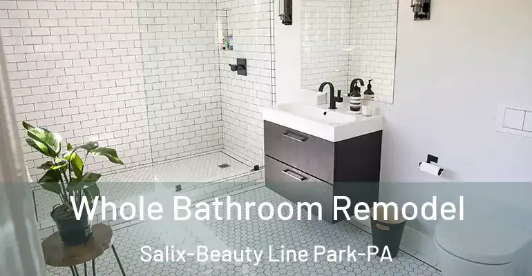 inner Bathroom imggen Whole Bathroom Remodel Salix-Beauty Line Park-PA