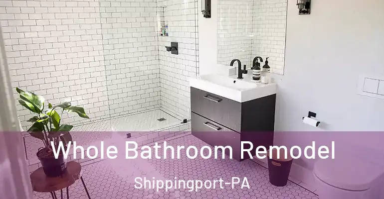 inner Bathroom imggen Whole Bathroom Remodel Shippingport-PA