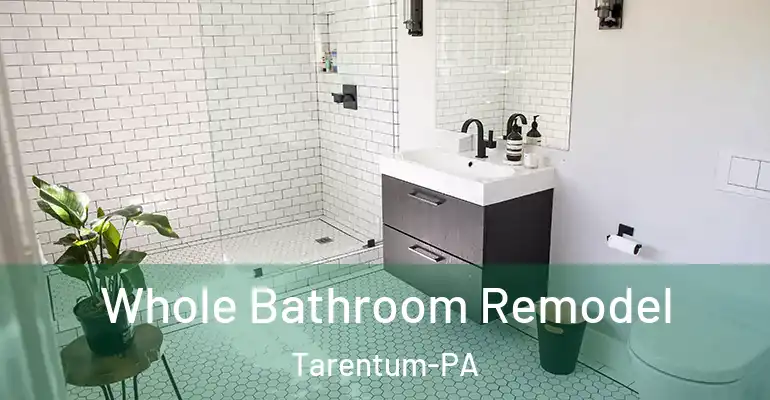 inner Bathroom imggen Whole Bathroom Remodel Tarentum-PA