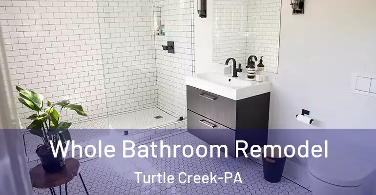 inner Bathroom imggen Whole Bathroom Remodel Turtle Creek-PA